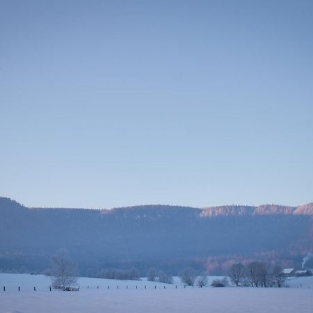 Villa Siedem Lanow Radkow Esterno foto