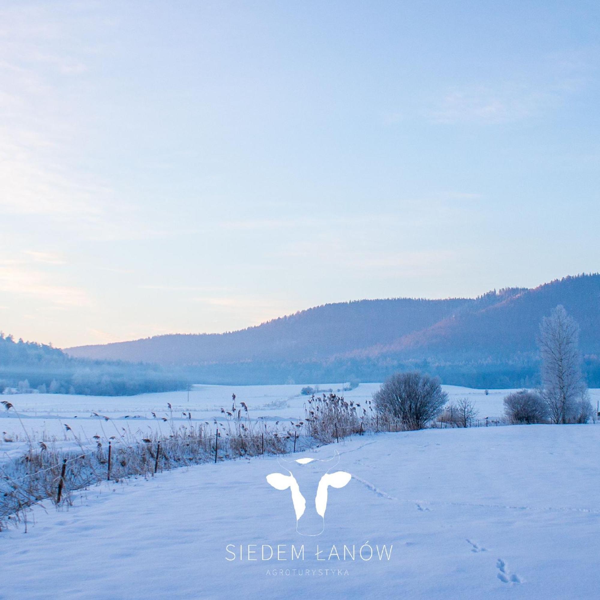 Villa Siedem Lanow Radkow Esterno foto