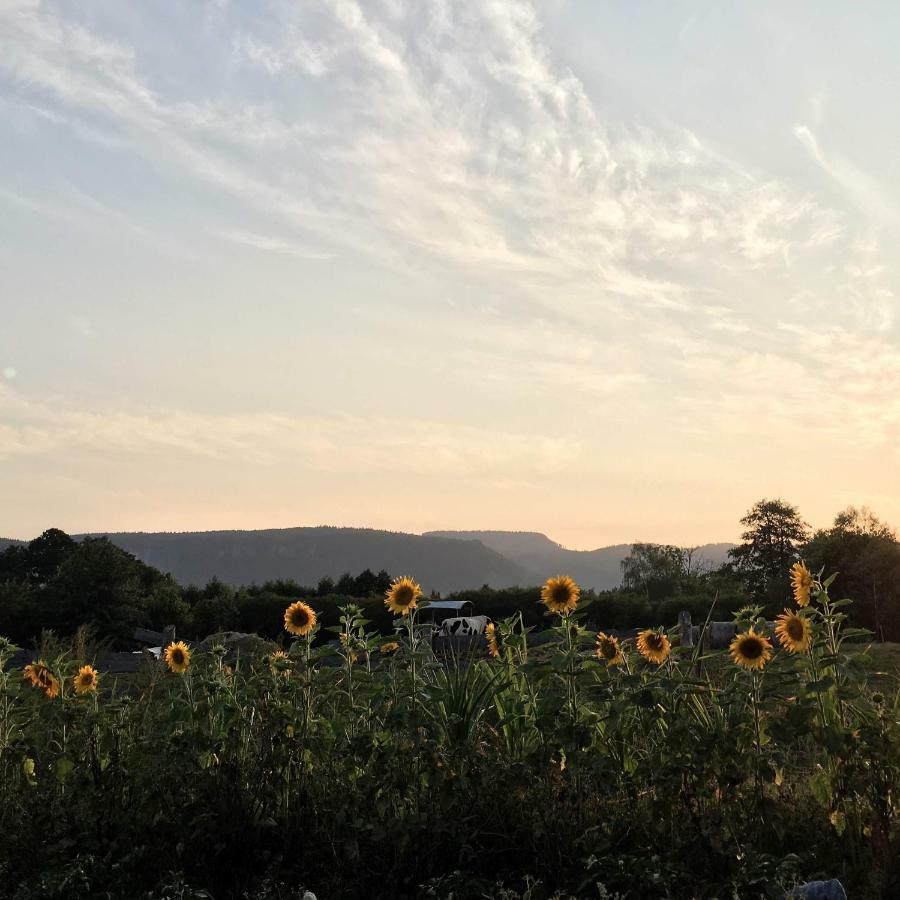 Villa Siedem Lanow Radkow Esterno foto