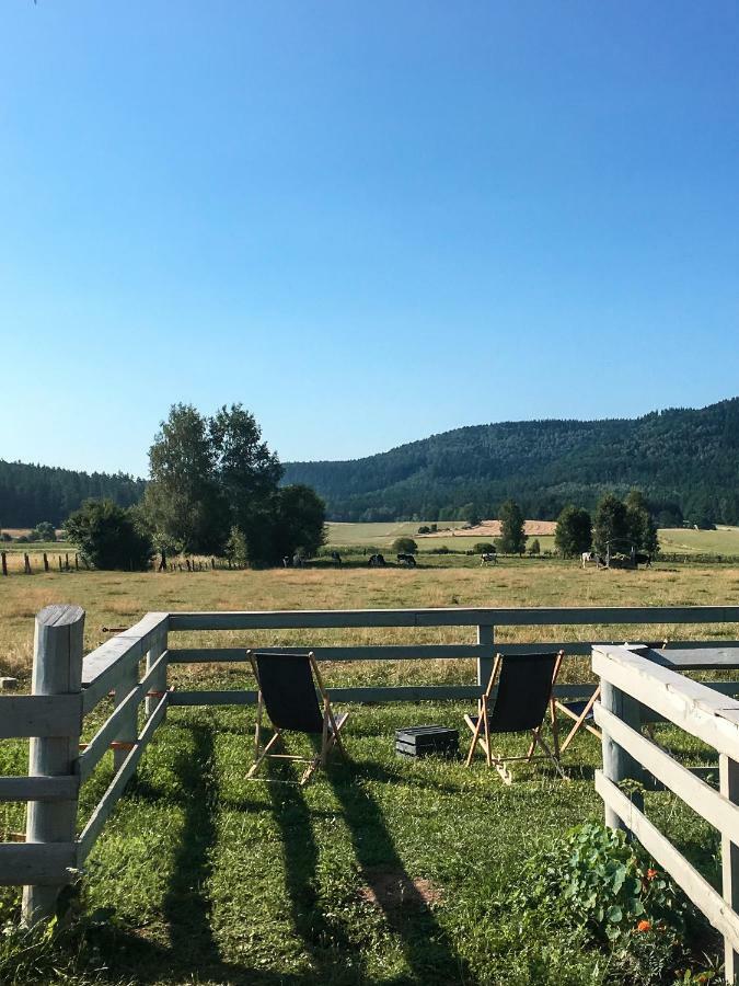 Villa Siedem Lanow Radkow Esterno foto